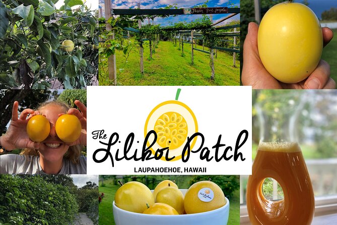 Hamakua Coast Farm Tour Review - Health and Accessibility Considerations