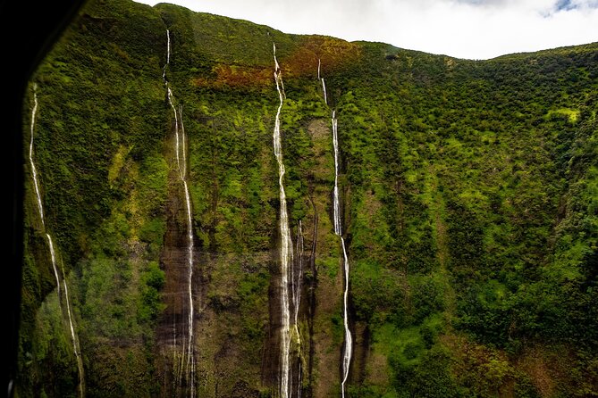 Hamakua Coast & Valleys Safari - Highlights of the Safari