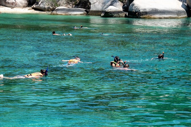 Hanauma Bay Snorkel - Accessibility and Participation