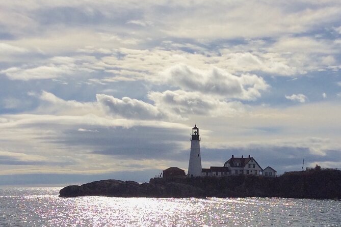 Harbor Lights and Sights Cruise - Guest Reviews and Feedback
