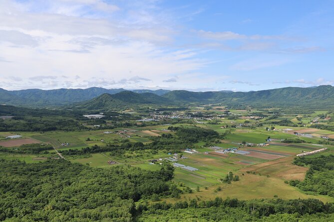 Harvest Experience in Akaigawa With Lunch Freshly Picked Veggies - Health and Accessibility Considerations