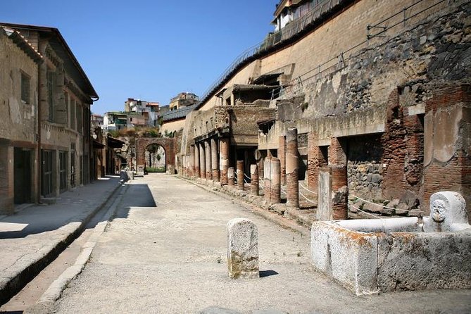 Herculaneum and Mount Vesuvius With Driver Private Shore Excursion From Naples - Pickup and Meeting Details