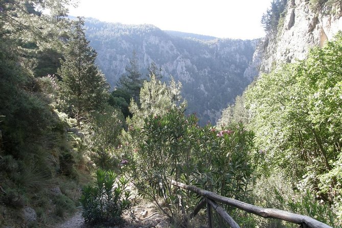 Hike Agia Irini Gorge Private Tour (Price per Group of 6) - Meeting and Pickup Locations