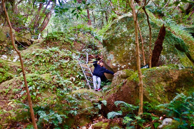 Hike Rope Ladders Miyazaki Japan - Health and Safety Guidelines