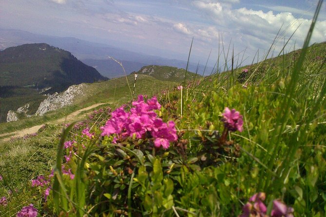 Hiking : 7 Ladders Canyon -Piatra Mare Mountain From Brasov - Lunch and Refreshments Provided