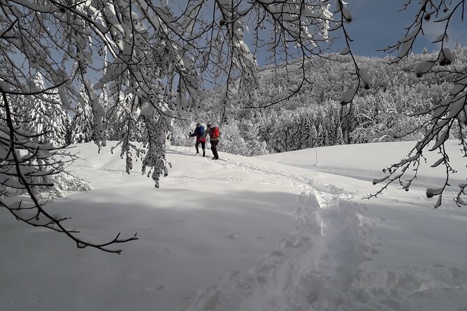 Hiking in Chamonix With a Guide - The Sum Up