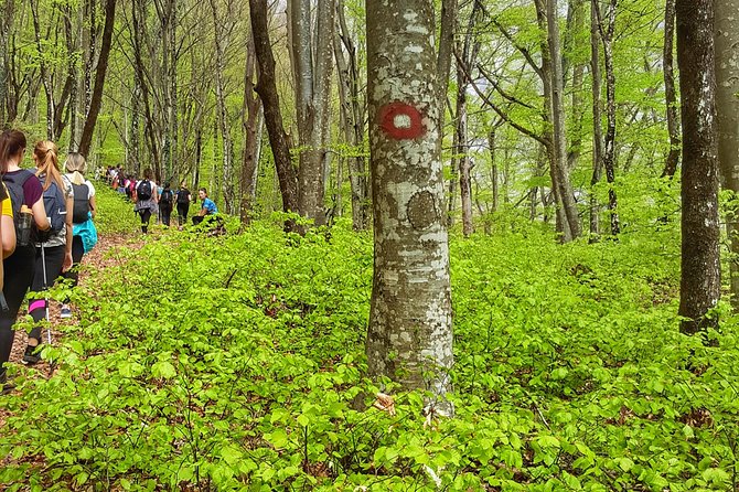 Hiking in Mostar ,Mountain Prenj - Accessibility and Fitness Requirements