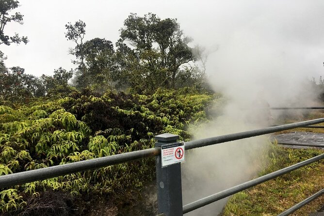 Hilo and Volcano National Park Tour Review - Review Breakdown
