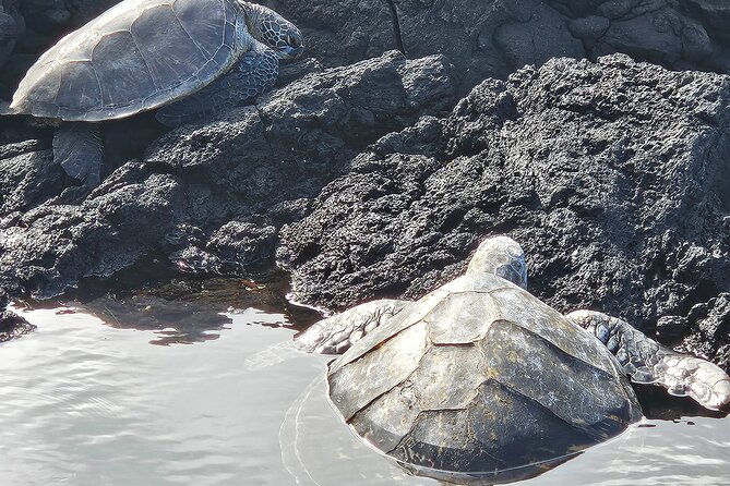 Hilo Guided Day Tour by Native Hawaiians - Booking Details