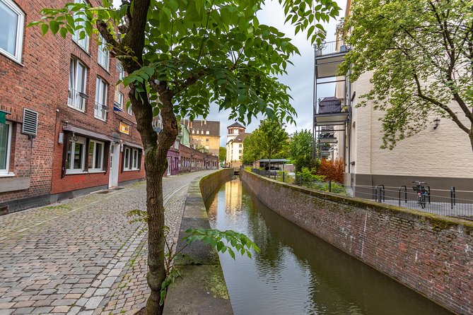 Historic Dusseldorf: Exclusive Private Tour With a Local Expert - Exclusivity and Personalized Experience