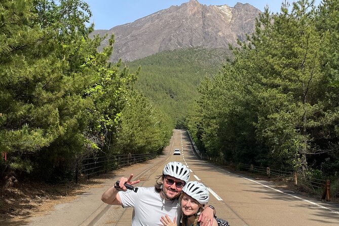 Historical Hill Climb E-bike Tour to Sakurajimas Peak - Scenery and Views