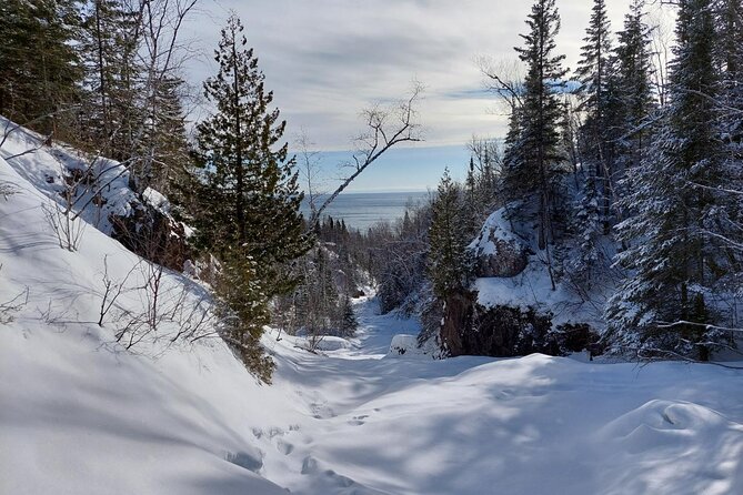 Hok Skiing Introduction Review: A Unique Experience - Booking and Practical Information