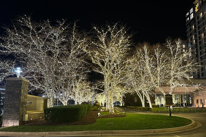Holiday Lights Private Night Bus Tour Review - Pricing and Value