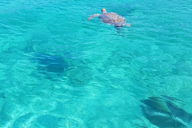 Honor Roll Private Bahamas Boat Charter - Customer Reviews and Ratings