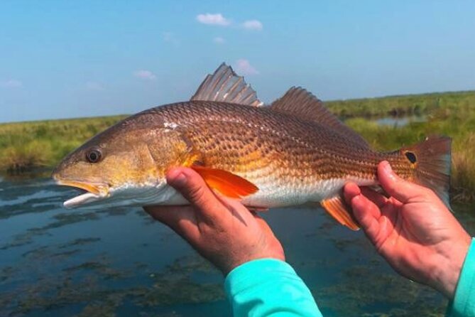 Hooked on the Bayou: New Orleans Kayak Fishing Trips - Making Memories: The Ultimate Fishing Experience