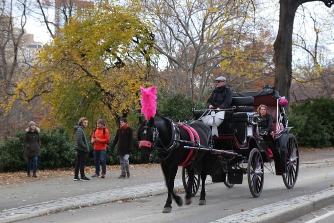 Horse Carriage Tour in New York Citys Central Park Small Loop - Pricing and Cancellation Policy