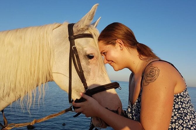 Horse Riding Adventure 2 Hours Sea and Desert - Hurghada - Booking Process