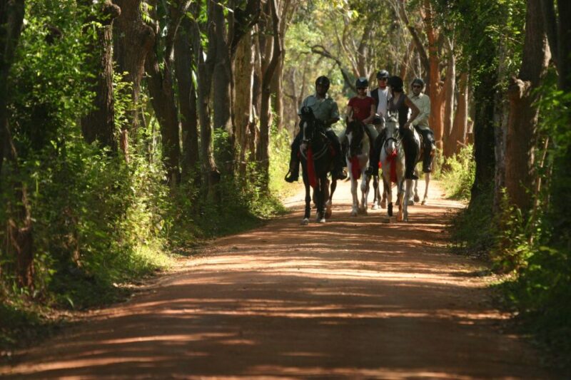 Horse Riding in Nuwara Eliya - Safety and Guidelines