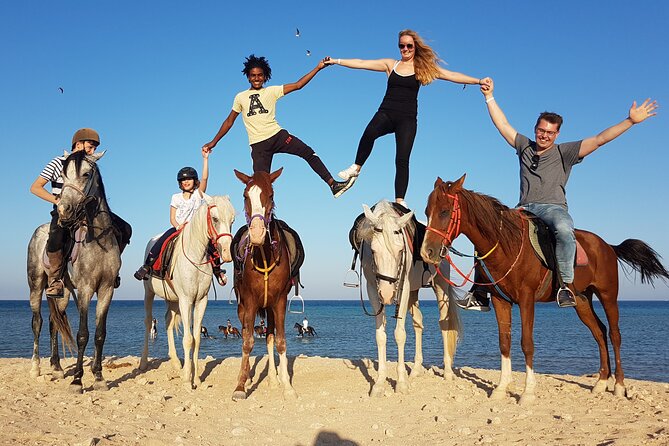 Horseback Or Camel Riding One Hour With Transfer - Sharm El Sheikh - Pricing and Inclusions