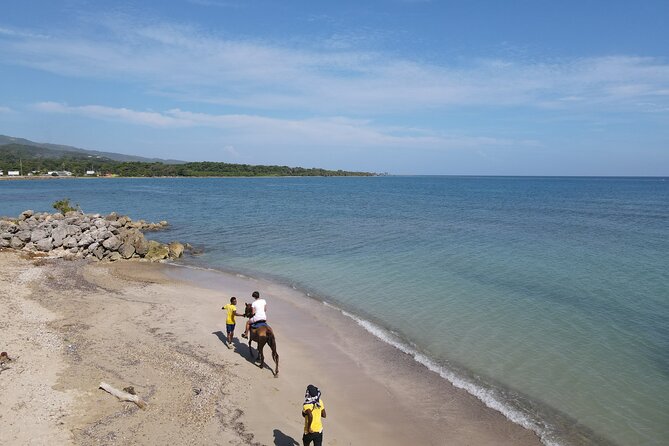 Horseback Ride and Swim in Ocho Rios With Transportation - Activity Details