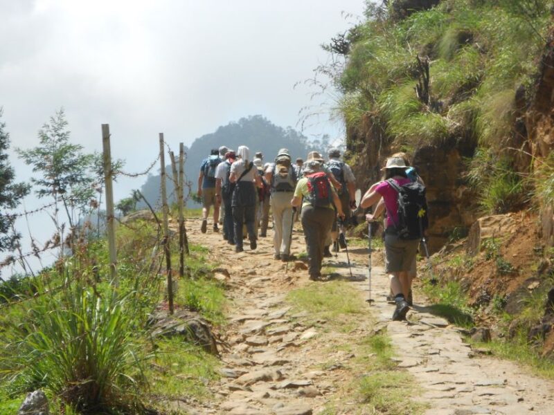 Horton Plains: Pekoe Trail Stage 11 Hiking Trip to Udaweriya - Included Services