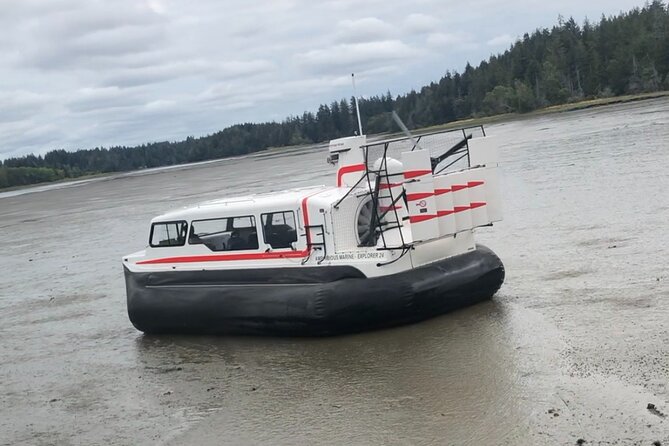 Hover Craft Scenic Tour in Talkeetna, Alaska - Booking Information