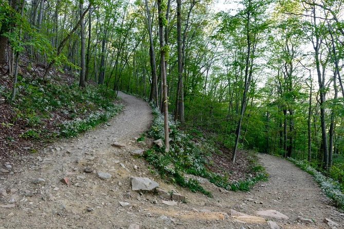 Hudson Valley Winery and Hiking Experience Review - Pricing and Payment Options