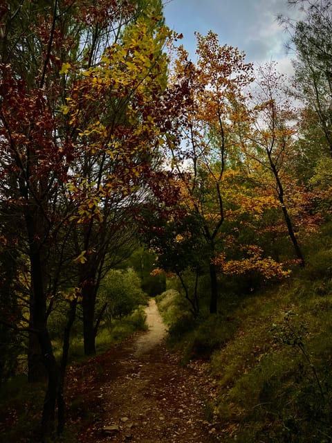Hymettus: Day and Night Hikes, With the Best Views in Town - Quarries and Marble Mining History