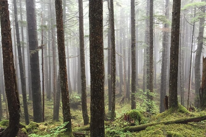 Icy Strait Village Tour and Crab Feast - Unique Features and Activities