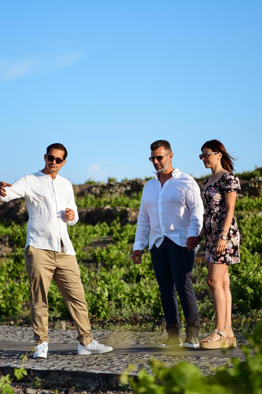 Imerovigli: Premium Wine Tasting With Caldera and Sea Views - Cancellation and Booking Policies