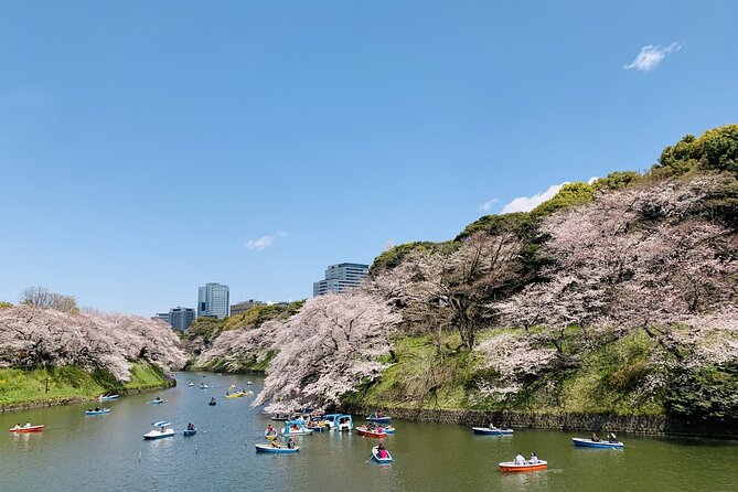 Imperial Palace and Heritage of Edo Castle Private Tour - Additional Information