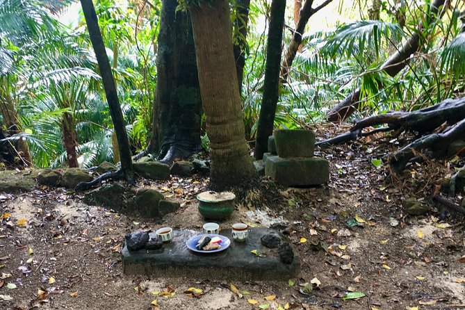 Iriomote Culture Discovery. Indigenous Culture on Iriomote Island - Reviews and Pricing