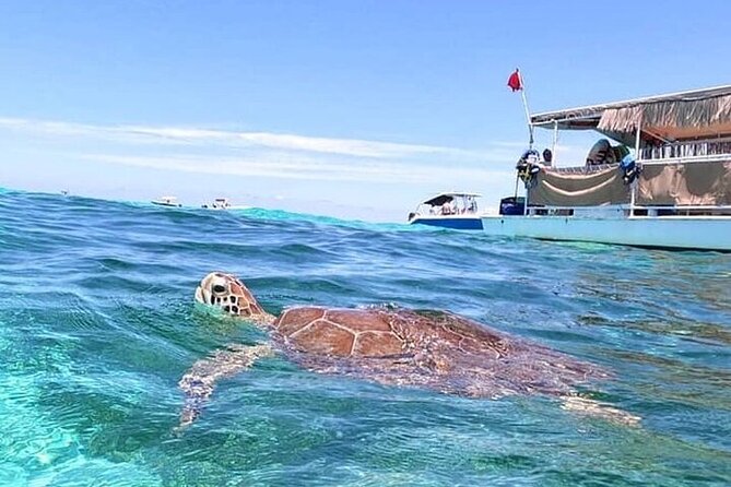 Islamorada: Snorkel Adventure & Sandbar Trip - Safety Considerations for the Tour