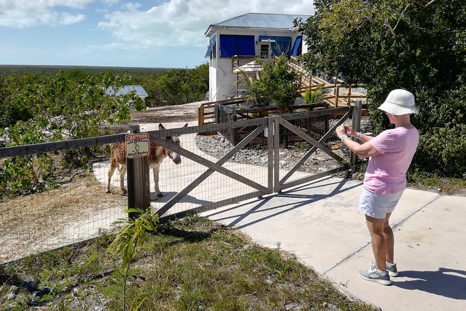 Island Tour of North and Middle Caicos W / Lunch & Drinks Included - Local Culture and History