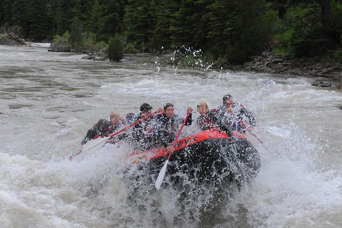 Jackson Hole Whitewater Rafting Classic From Jackson Hole,Wyoming - Safety Requirements and Physical Fitness Level