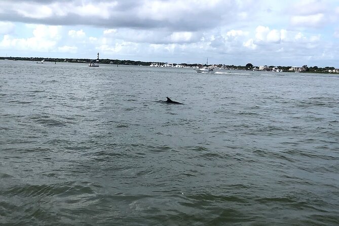 Jacksonville Private Boat Tour Daytime or Sunset, up to 6 People - Accessibility and Participation