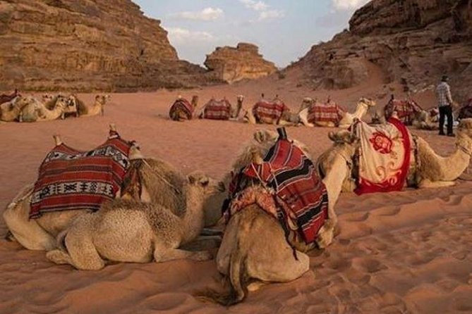 Jeep Safari-Camel Ride & Bedouin Village - Frequently Asked Questions
