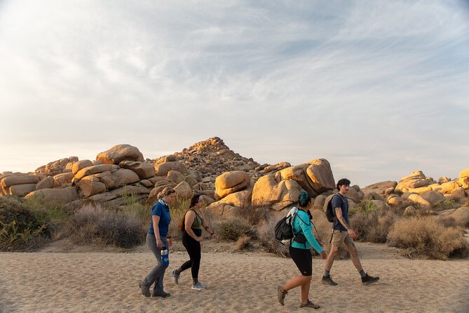 Joshua Tree Full Day Private Tour and Hike - What to Expect