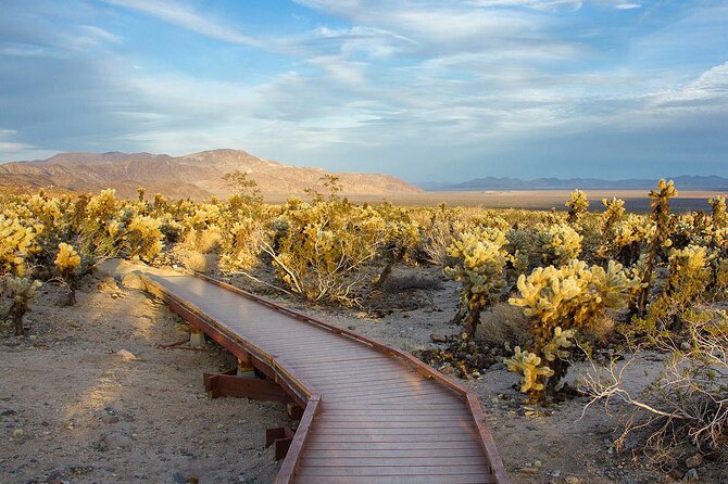 Journey Into Joshua Tree Audio Tour and Locals Guide - Operating Hours