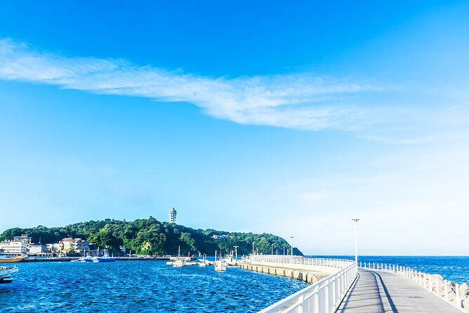 Kamakura Enoshima and Yokohama Tour From Tokyo - Accessibility and Participation