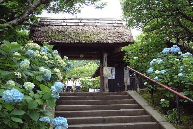 Kamakura Full Day Tour With Licensed Guide and Vehicle - Accessibility and Participation