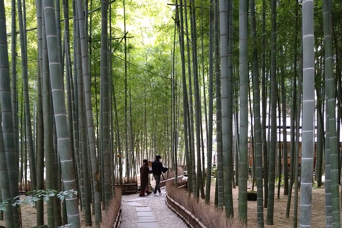 Kamakura One Day Walking Private Tour - Highlights of the Tour