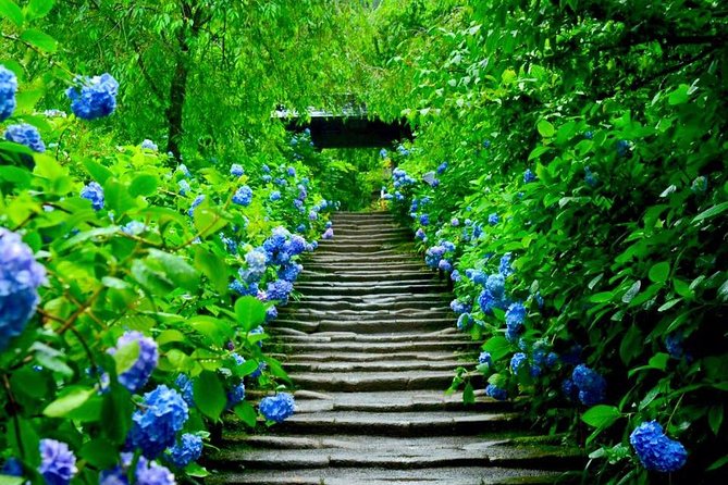 Kamakura Private Custom Tour - Planning Your Kamakura Adventure