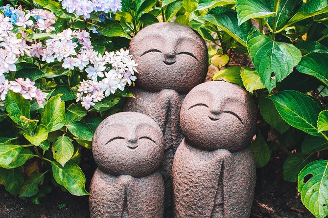 Kamakura Private Customizable Full Day Tour - Accessibility and Fitness Requirements
