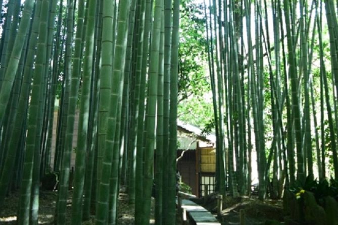 Kamakura Private Tour by Public Transportation - Taking in the Culinary Delights of Kamakura