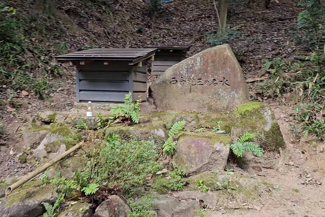 KAMOSU TABI The Sake Capital Saijo Wellness Tour - Wellness Activities and Rejuvenation