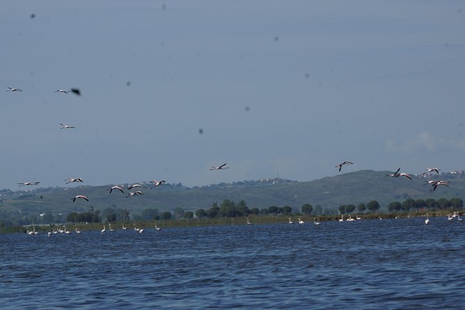 Karavasta Lagoon and Boat Trip - Daily Tour From Tirana - Health and Accessibility