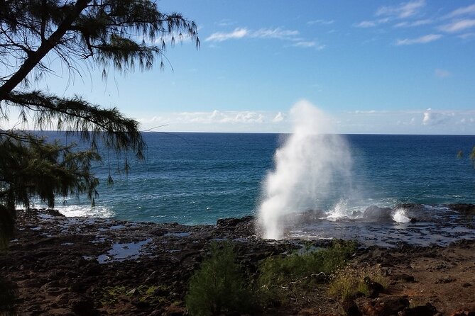 Kauai Island Tour : Journey to Waimea Canyon & More Highlights - Customer Reviews and Feedback