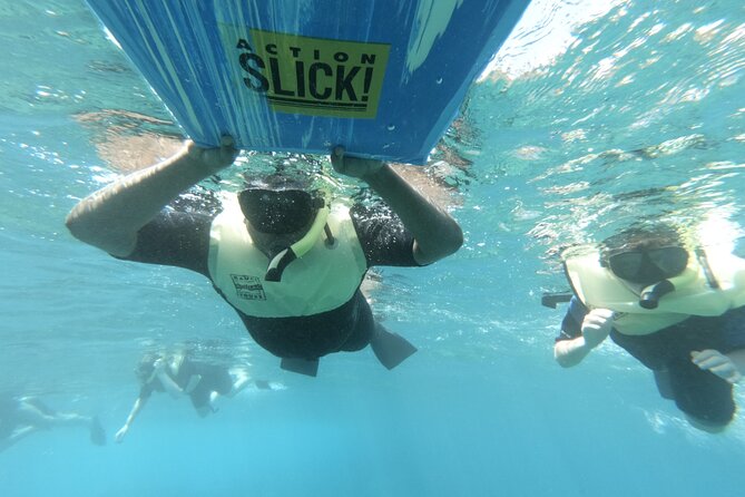 Kauais Ultimate Guided Shore Snorkel (NO BOAT): North Anini - What to Expect Underwater
