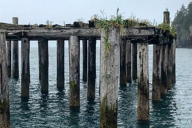 Kayak and Hike to Historic WW2 Army Fort in Alaska! - Customer Experiences and Highlights